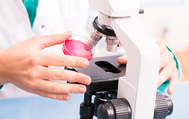 Laboratory