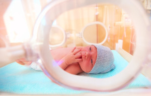 Newborn Baby Lying Inside The Infant Incubator In Hospital, Suck